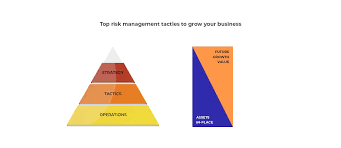 Risk Management Tactics 